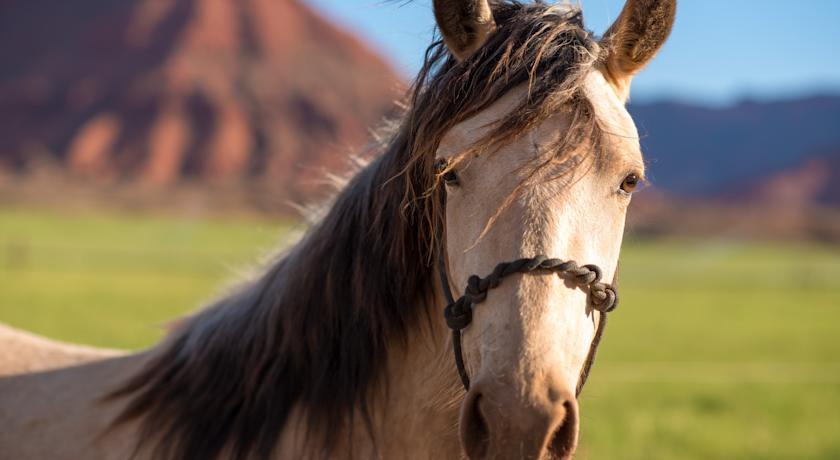 Sorrel River Ranch Resort & Spa Moab Zewnętrze zdjęcie