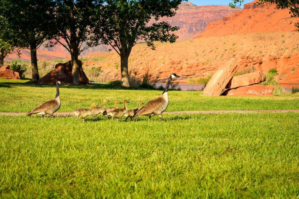 Sorrel River Ranch Resort & Spa Moab Zewnętrze zdjęcie